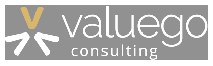 Client VSPortage : Valuego Consulting